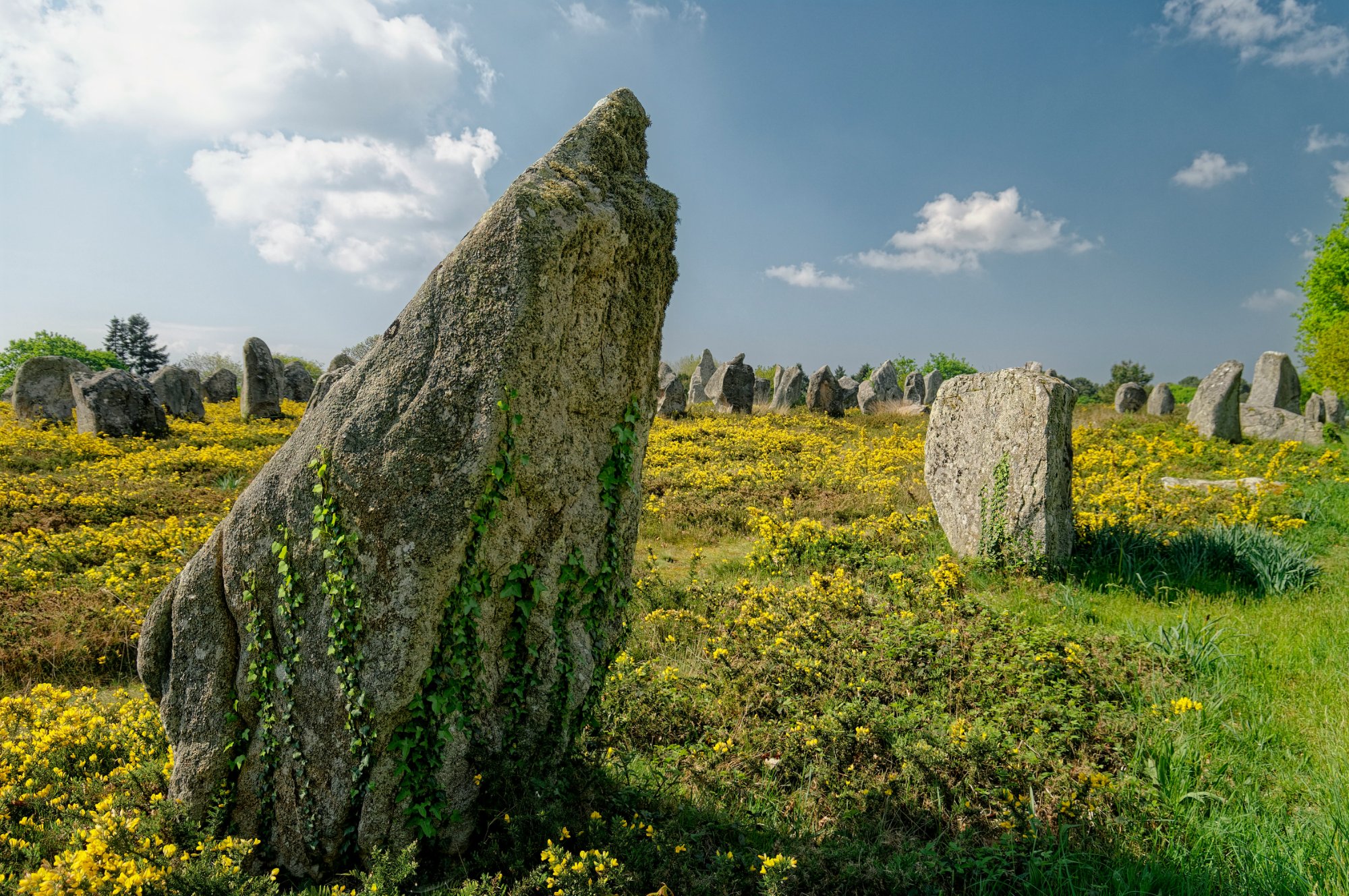 Misty Celtic stone circle in the forest — where druids dreamed the future