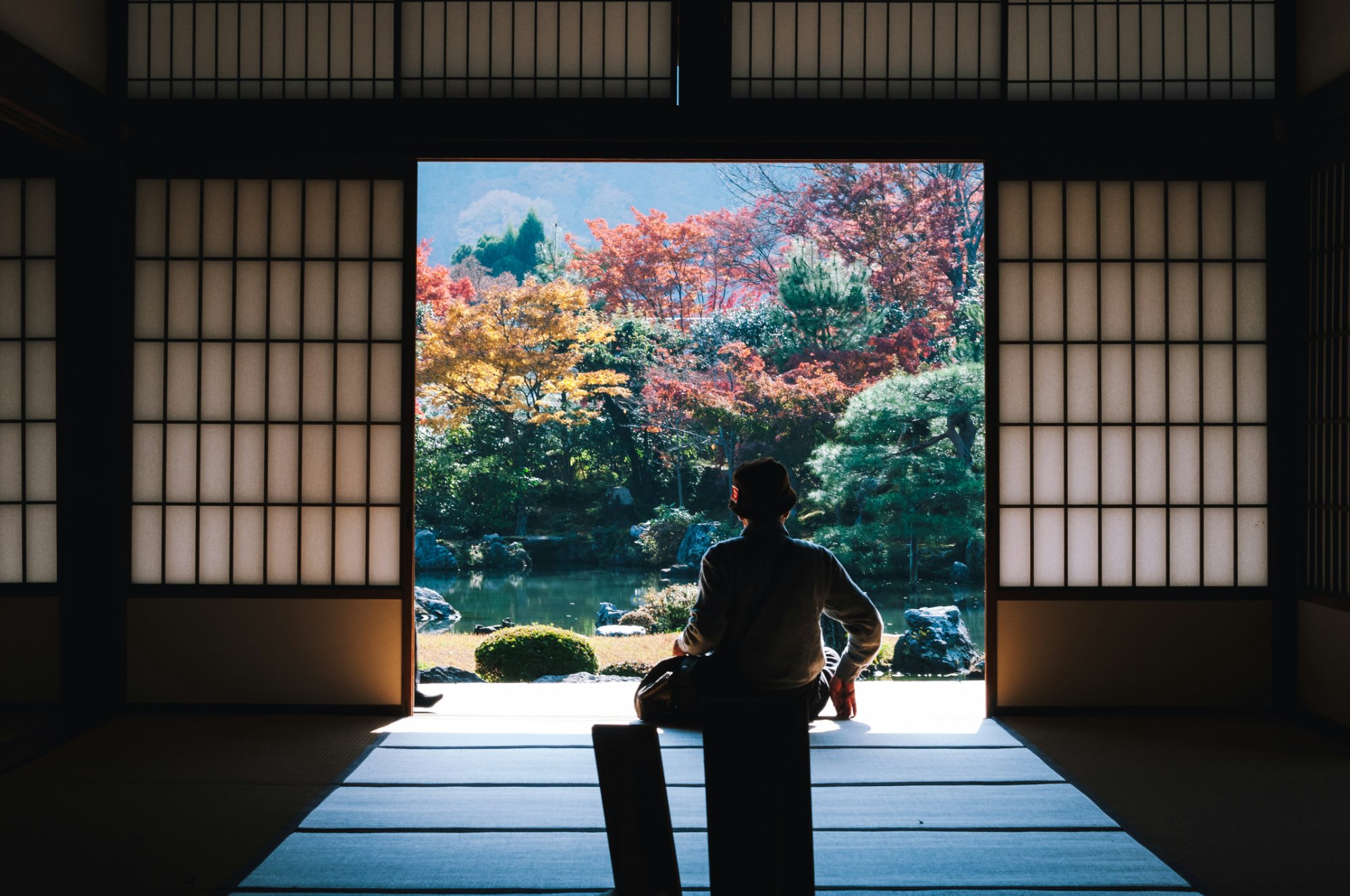 Torii gate in mist — the threshold between waking and dreaming in Japanese tradition