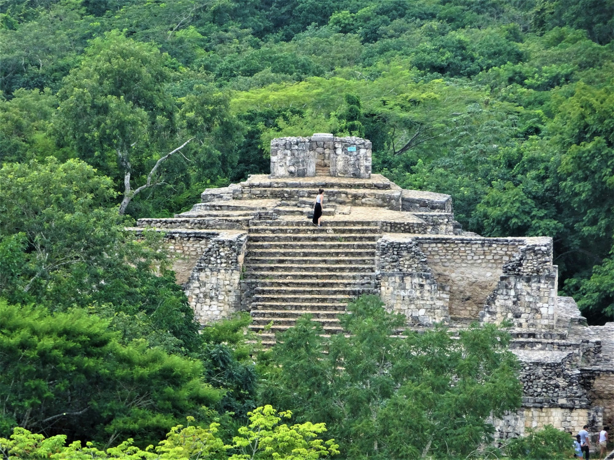 Ancient Mayan pyramid rising from the jungle — where shamans traveled through dream worlds